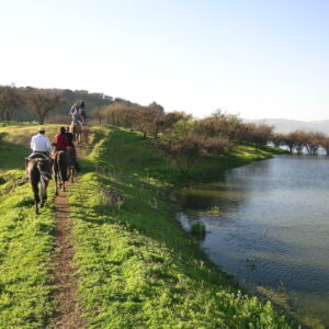 Paseo a Caballo en pareja Hacienda Los Lingues